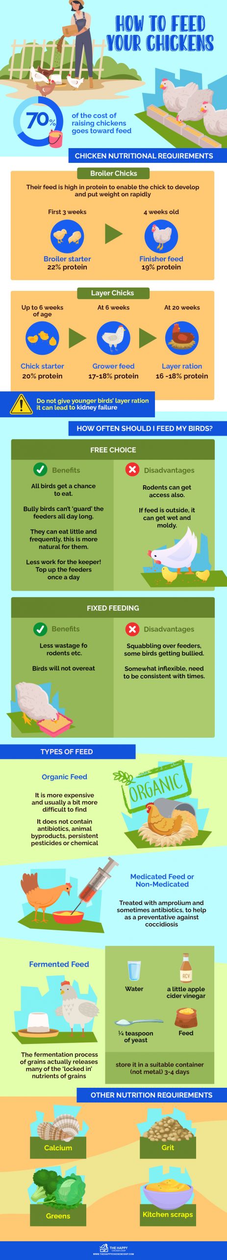 Cómo alimentar a sus pollos 
