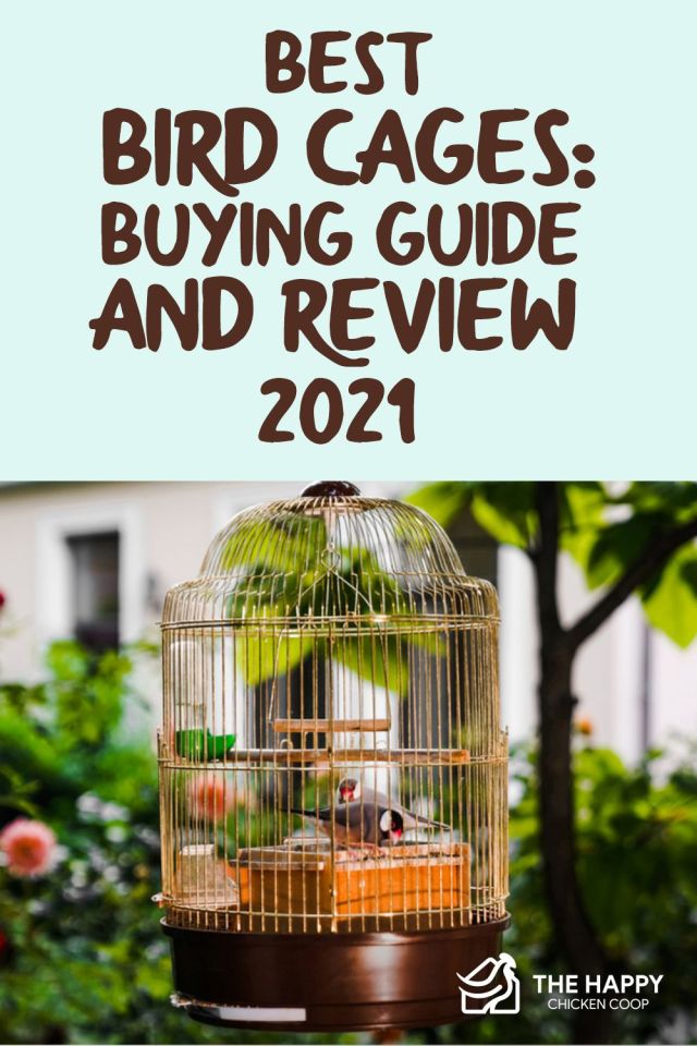 Las mejores jaulas para pájaros: guía de compra y revisión [2021]