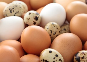 beneficios de los huevos de codorniz 