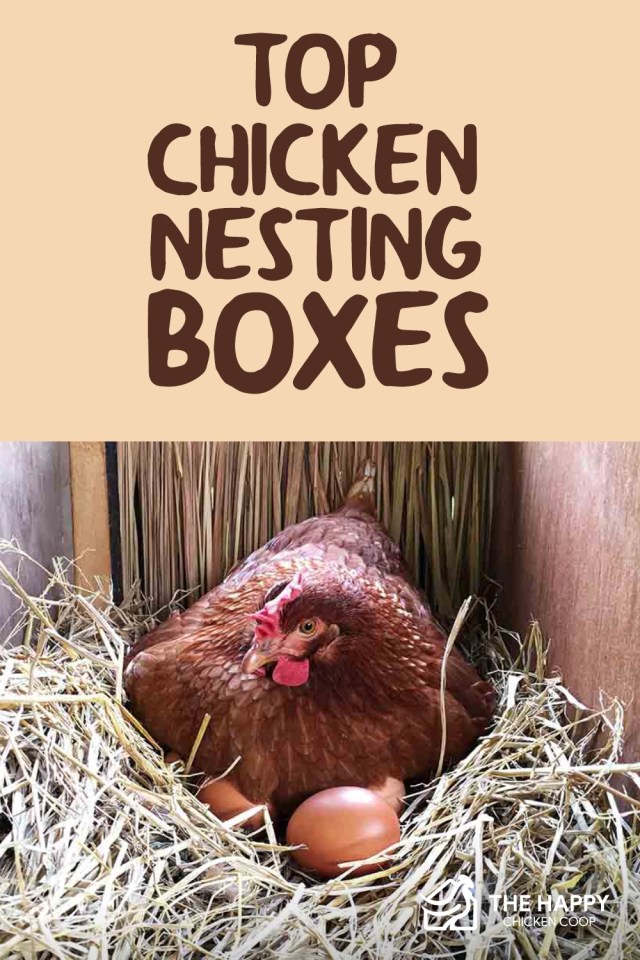 cajas nido para pollos