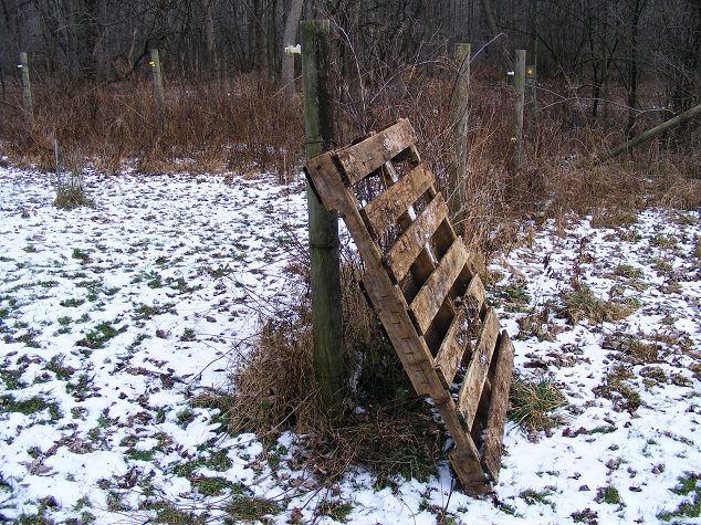 Cobertura para gallinas camperas