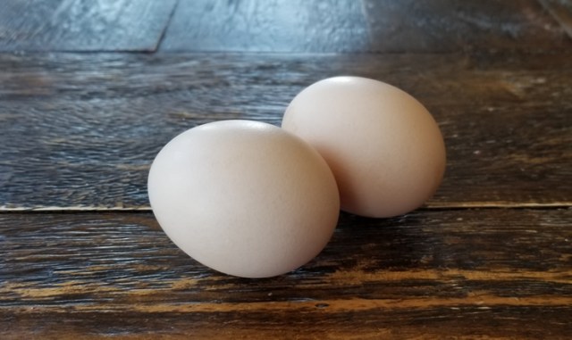 huevos orpington