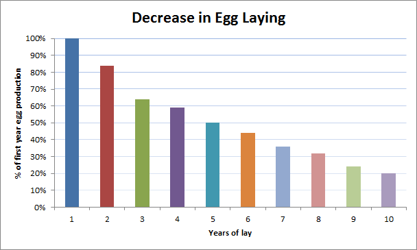 Reducción de la puesta de huevos de gallinas con el tiempo