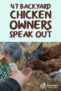 47 propietarios de pollos de traspatio hablan