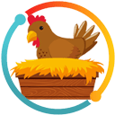 Cajas nido para gallinas 101