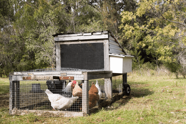 cerco electrico para gallinas y cabras tractor de gallinas