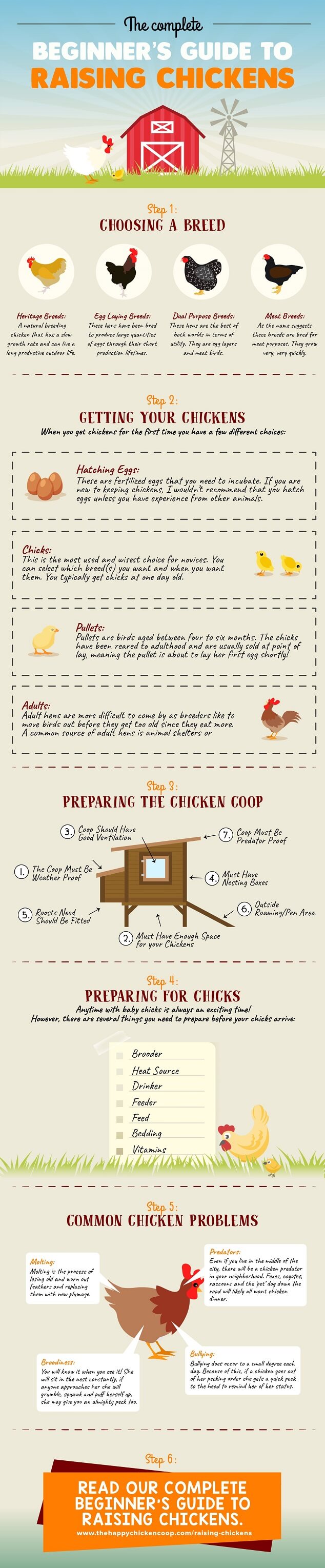 Guía para principiantes sobre cómo criar pollos de traspatio Infografía pequeña
