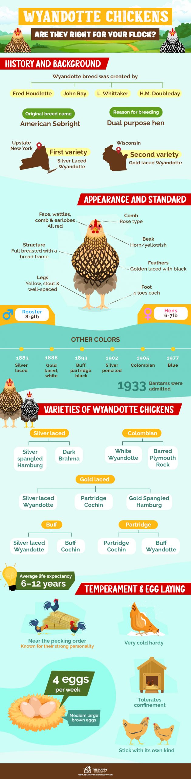 Wyandotte