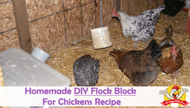 Imagen de portada de receta casera DIY Flock Block para pollos
