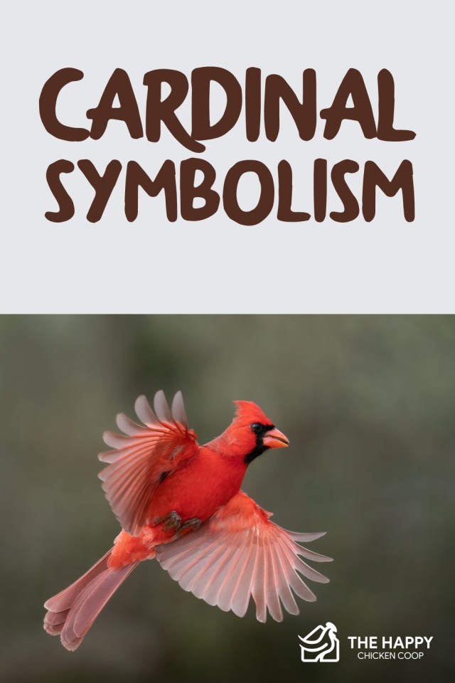 simbolismo cardinal